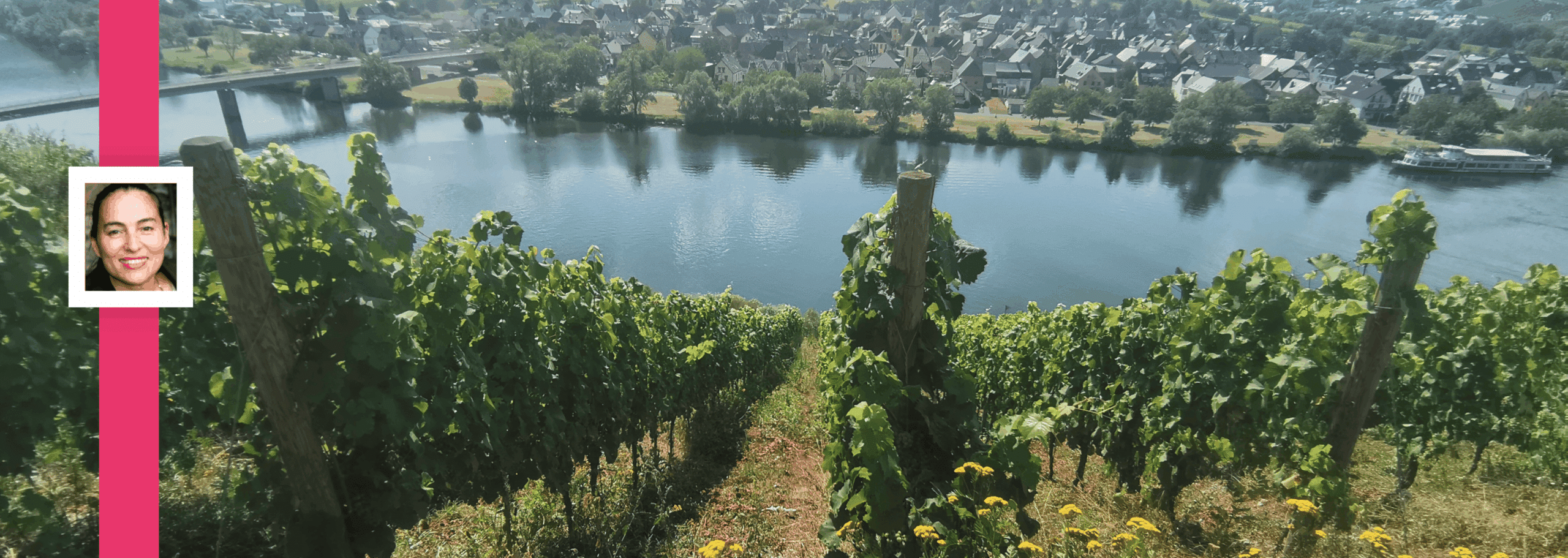 Mosel Panorama Wolf